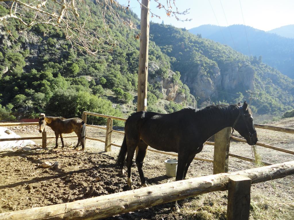 Faraggi Guesthouse Kalavryta Camera foto